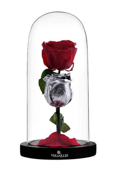 Red rose in a glass dome withVersailles logo on a white background