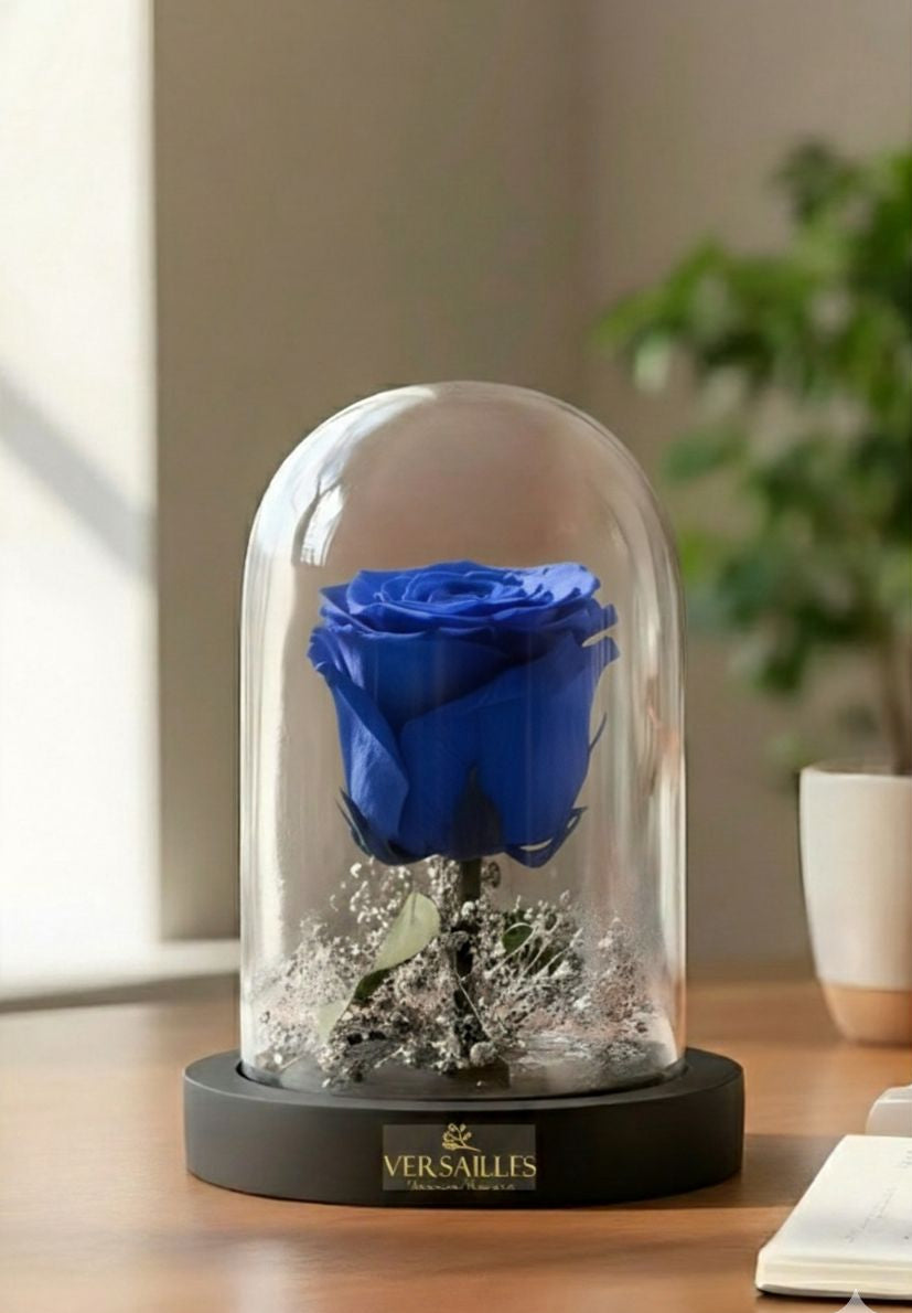 Single Blue Rose with Silver gypsos