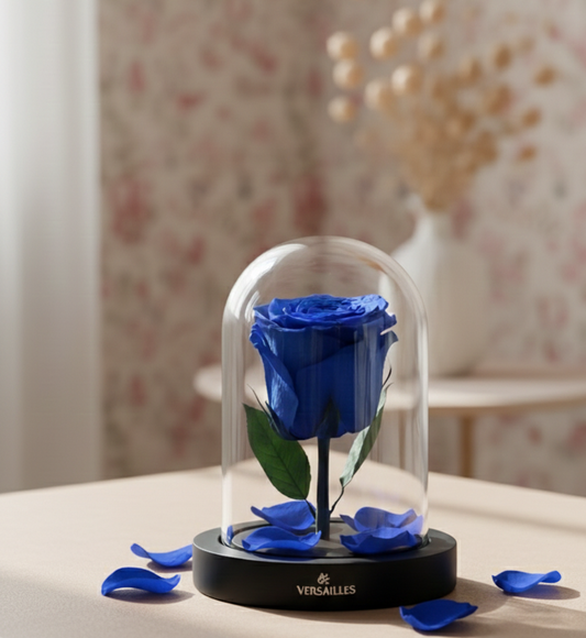 Single Blue rose black base