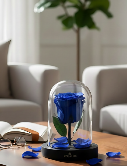 Forever Love (DS-01 Blue)