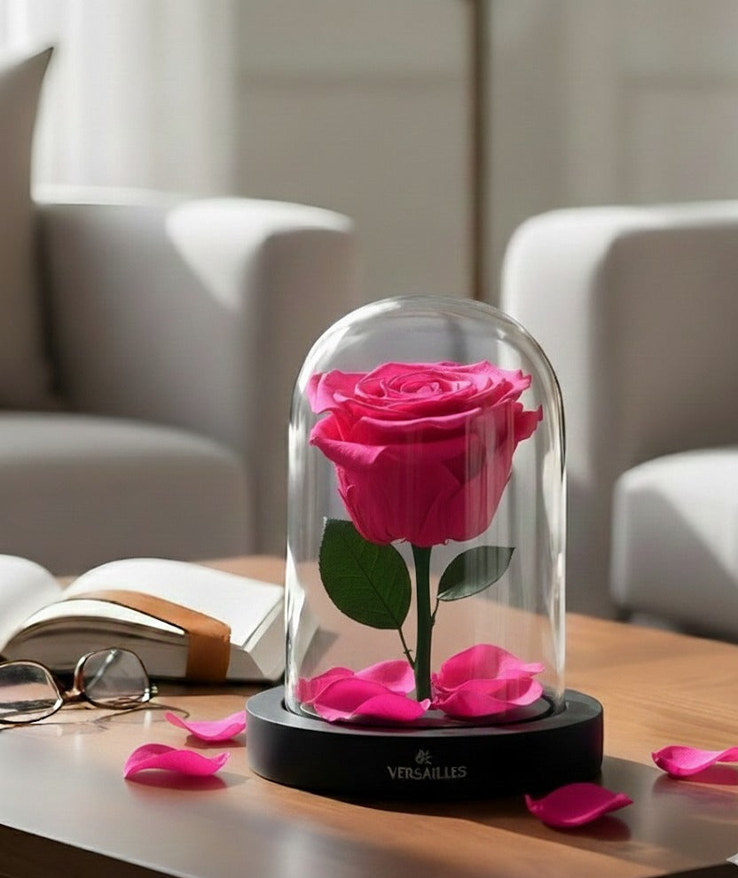 Single Pink Rose Forever Pink