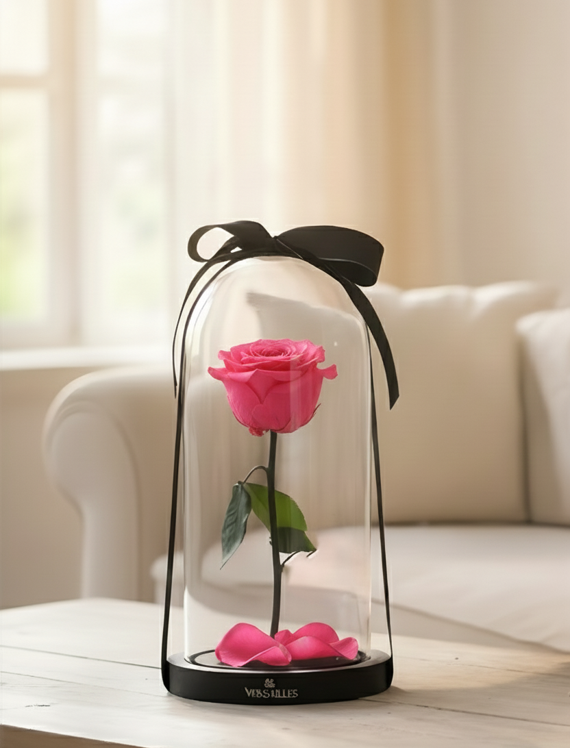 Single Pink Rose with Black ribbon