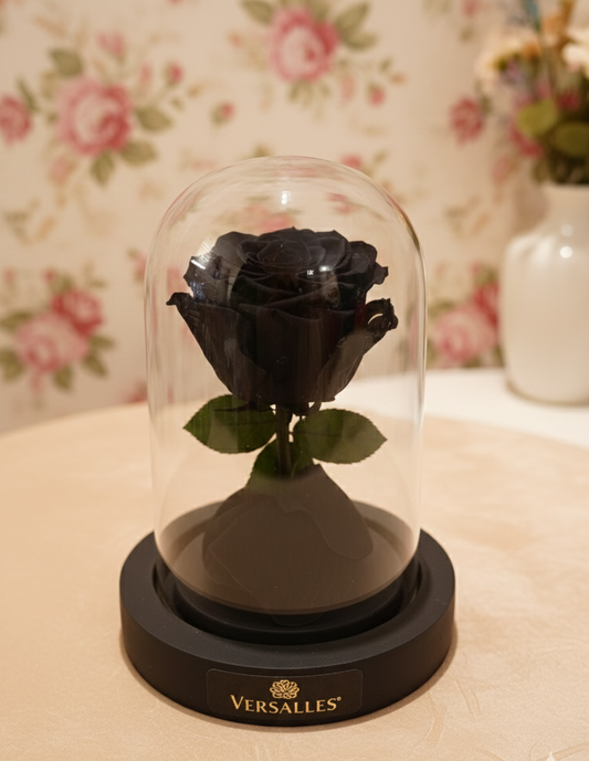 Single black Rose with Petals