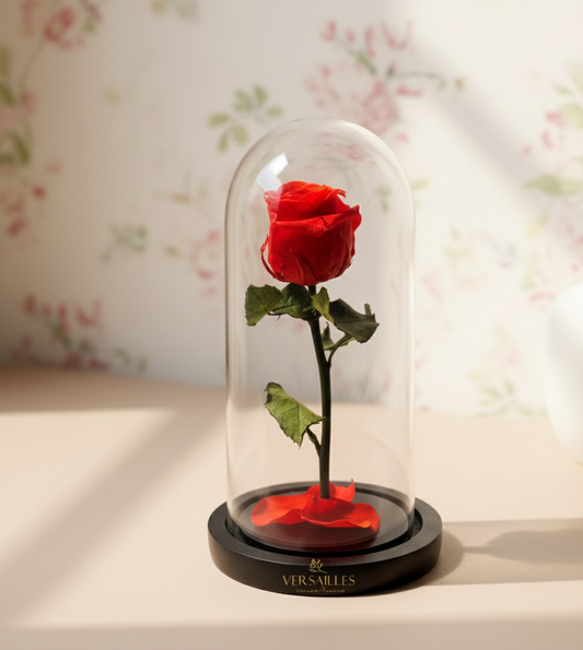 Red rose in a glass dome on a floral background