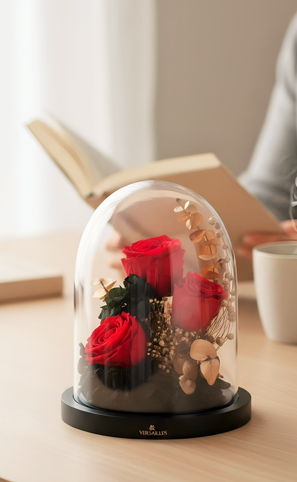 Red roses under a glass dome on a table with a blurred background