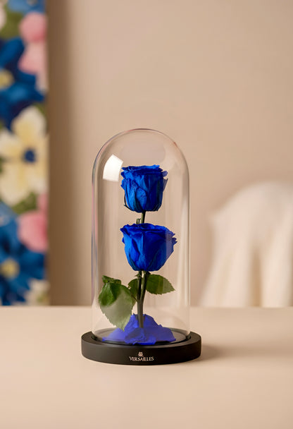 Twin Blue Rose 