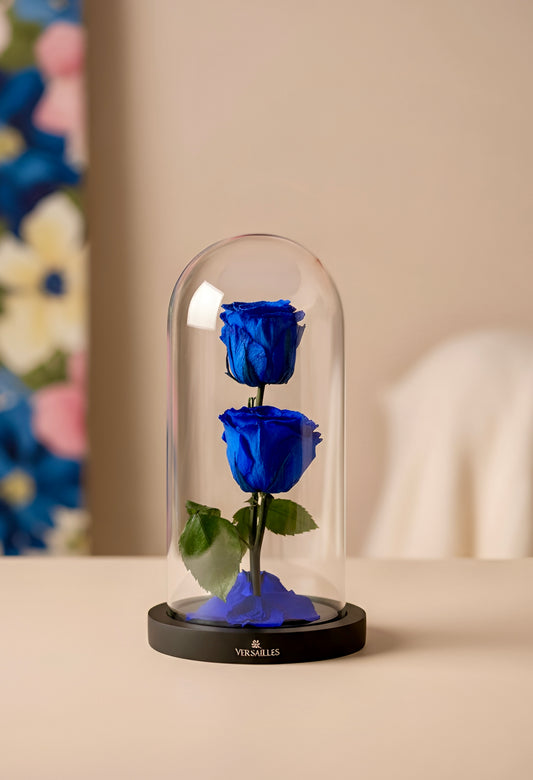 Twin Blue Rose 