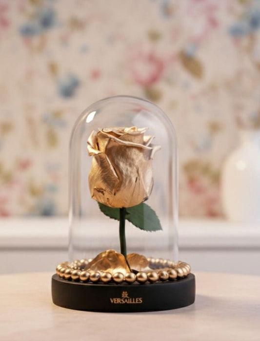 SYMPHONY GOLD (DS-03)