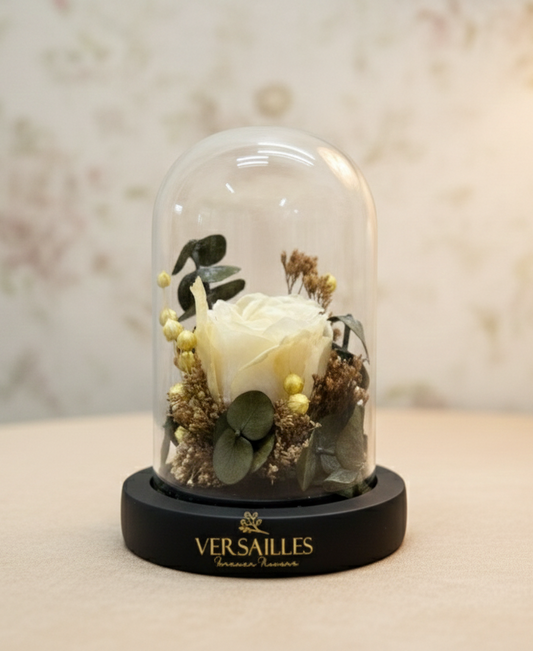 White Rose with Green Baby Dollar