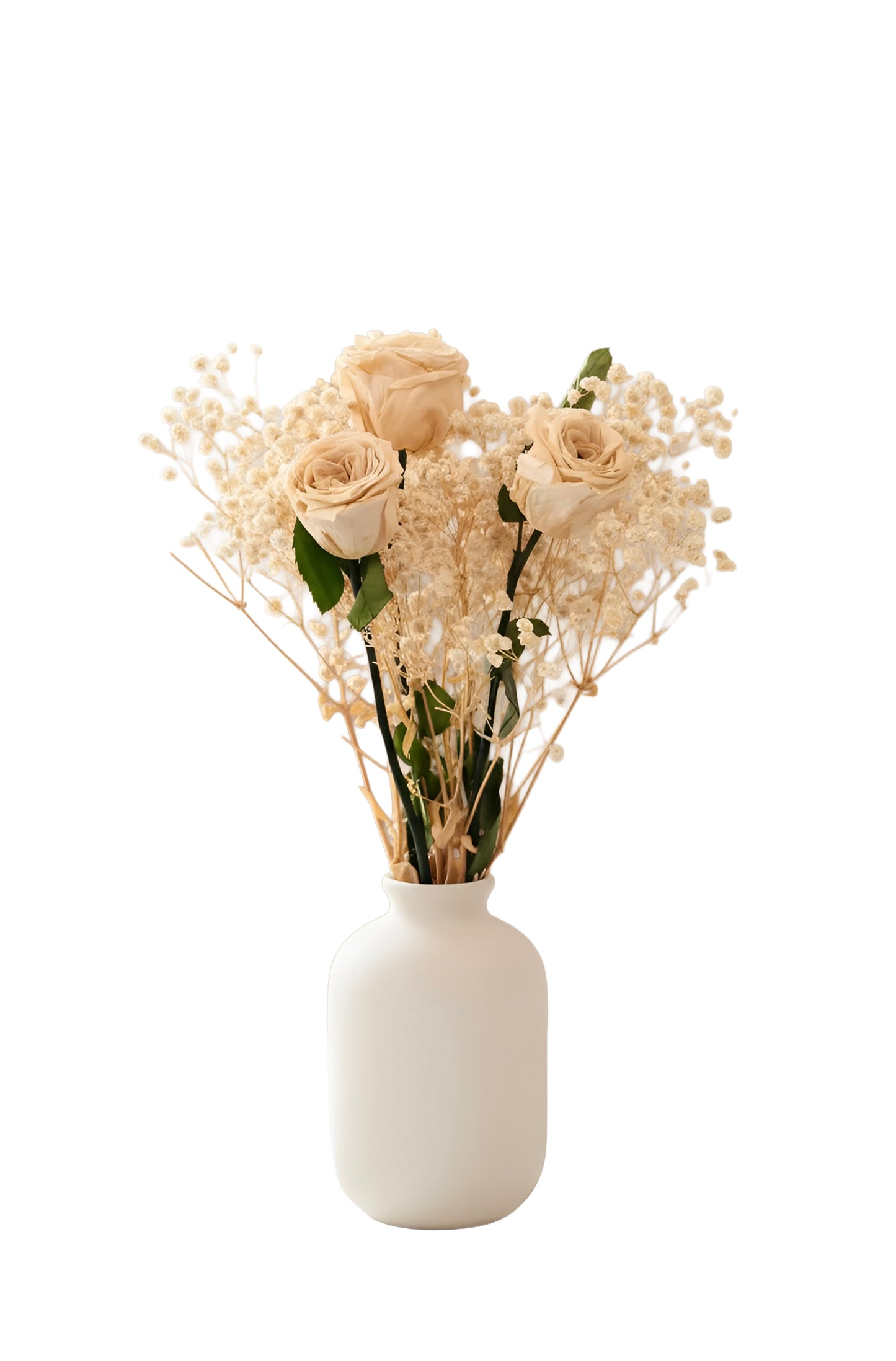 White Roses Bouquet With White Gypso