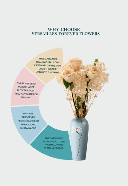 White Roses Bouquet With White Gypso Info