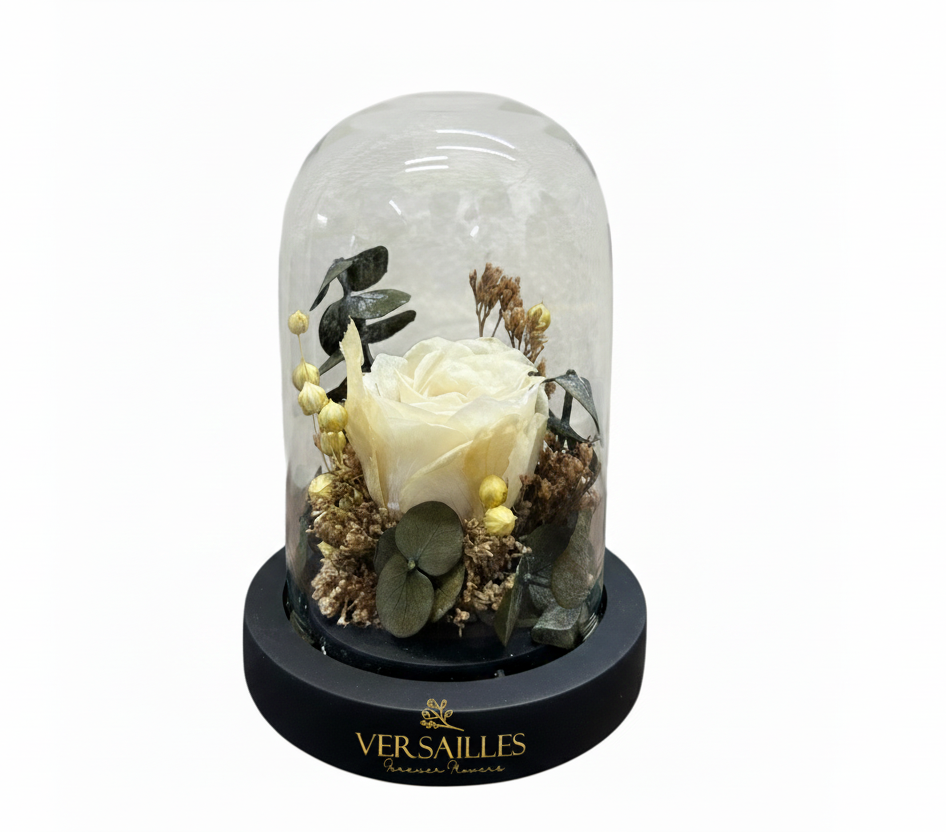 White rose Tishi Grass